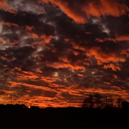 “il Nespolino” Tuscan * Siena