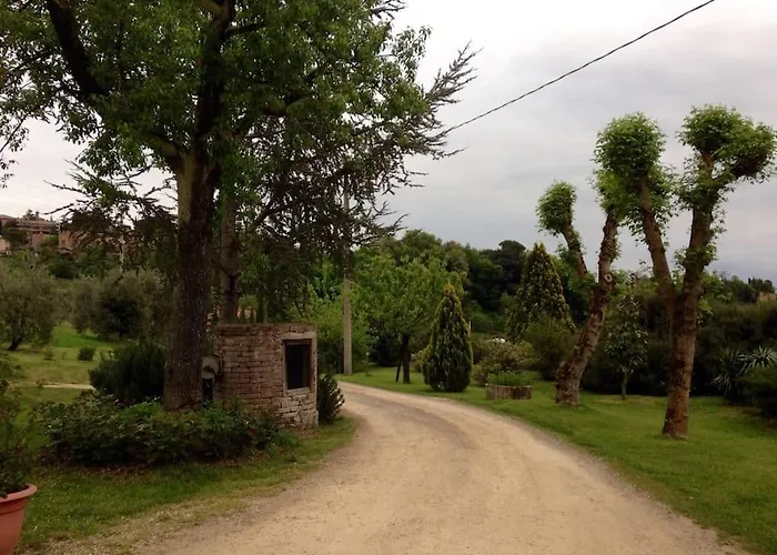 “il Nespolino” Tuscan *