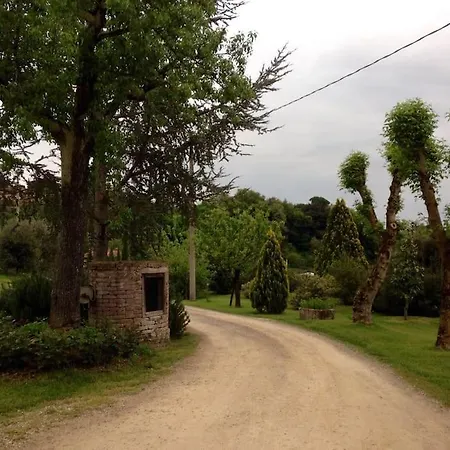 “il Nespolino” Tuscan *