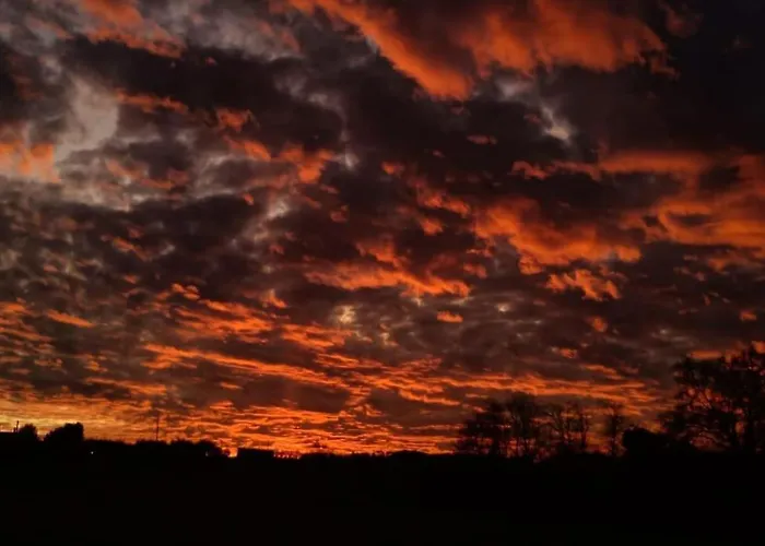 “il Nespolino” Tuscan * Siena